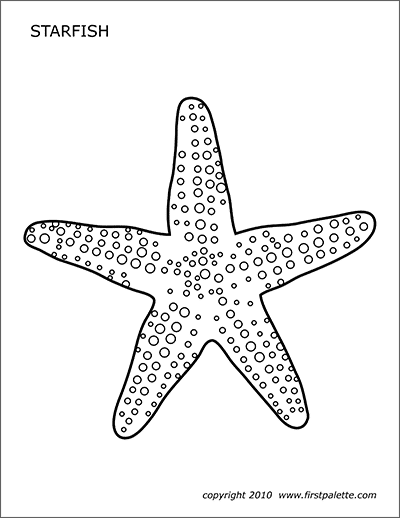 starfish coloring pages printable starfish coloring pages for kids cool2bkids coloring starfish pages 