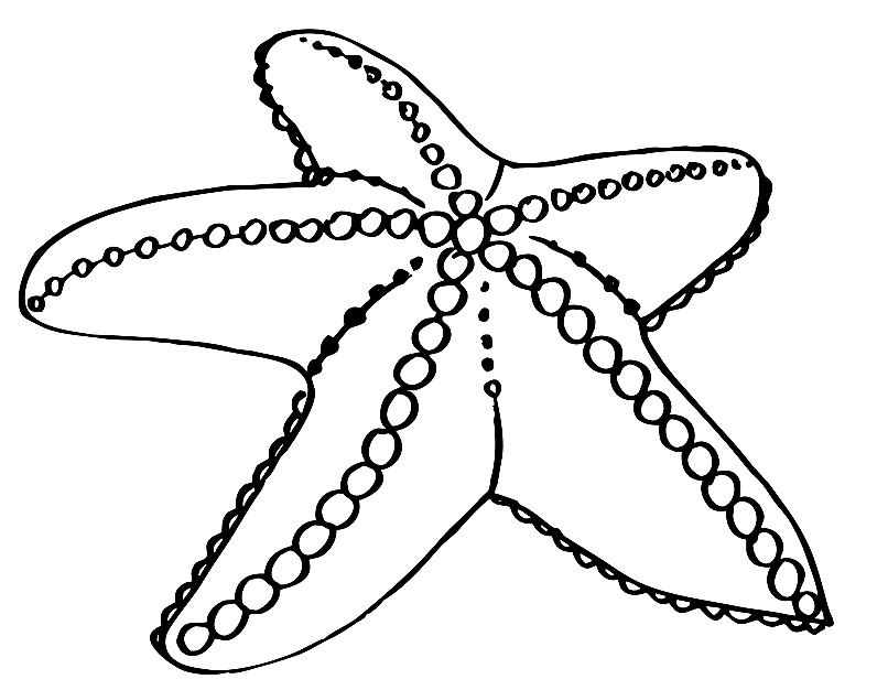 starfish coloring pages printable starfish coloring pages for kids cool2bkids starfish pages coloring 