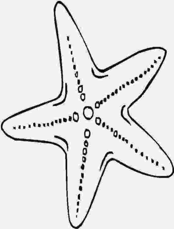 starfish coloring pages starfish outline clipart best coloring pages starfish 