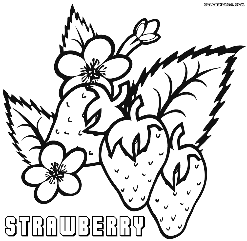 strawberry coloring pages strawberry coloring pages coloring pages to download and pages strawberry coloring 