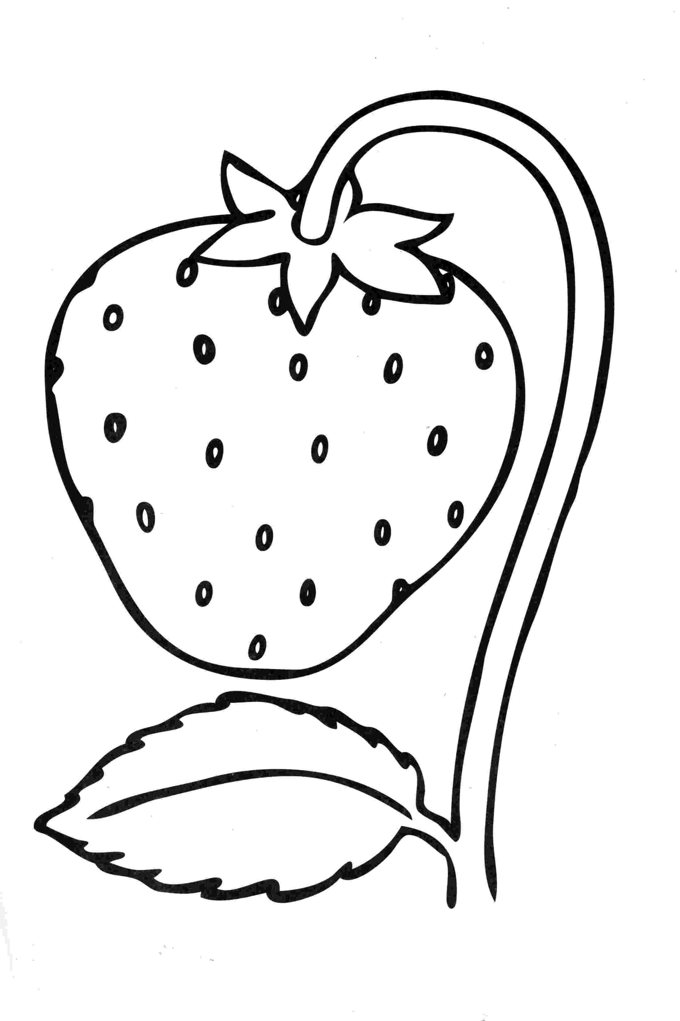 strawberry coloring pages strawberry coloring pages to download and print for free pages coloring strawberry 