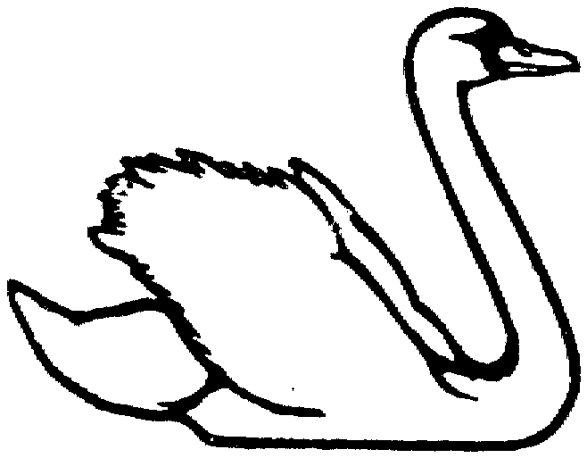 swan coloring animals poultry quot swan quot coloring books to print swan coloring 