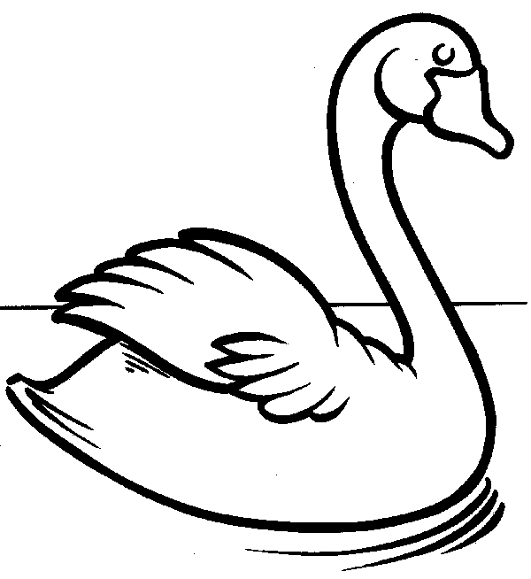 swan coloring beautiful swan coloring pages to girls coloring swan 