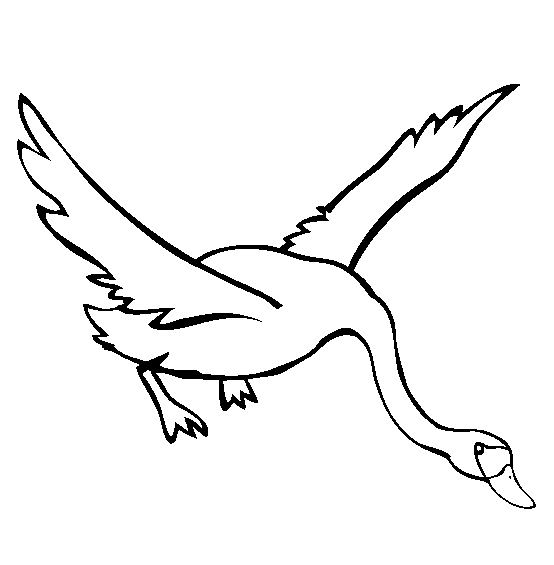 swan coloring beautiful swan coloring pages to girls swan coloring 
