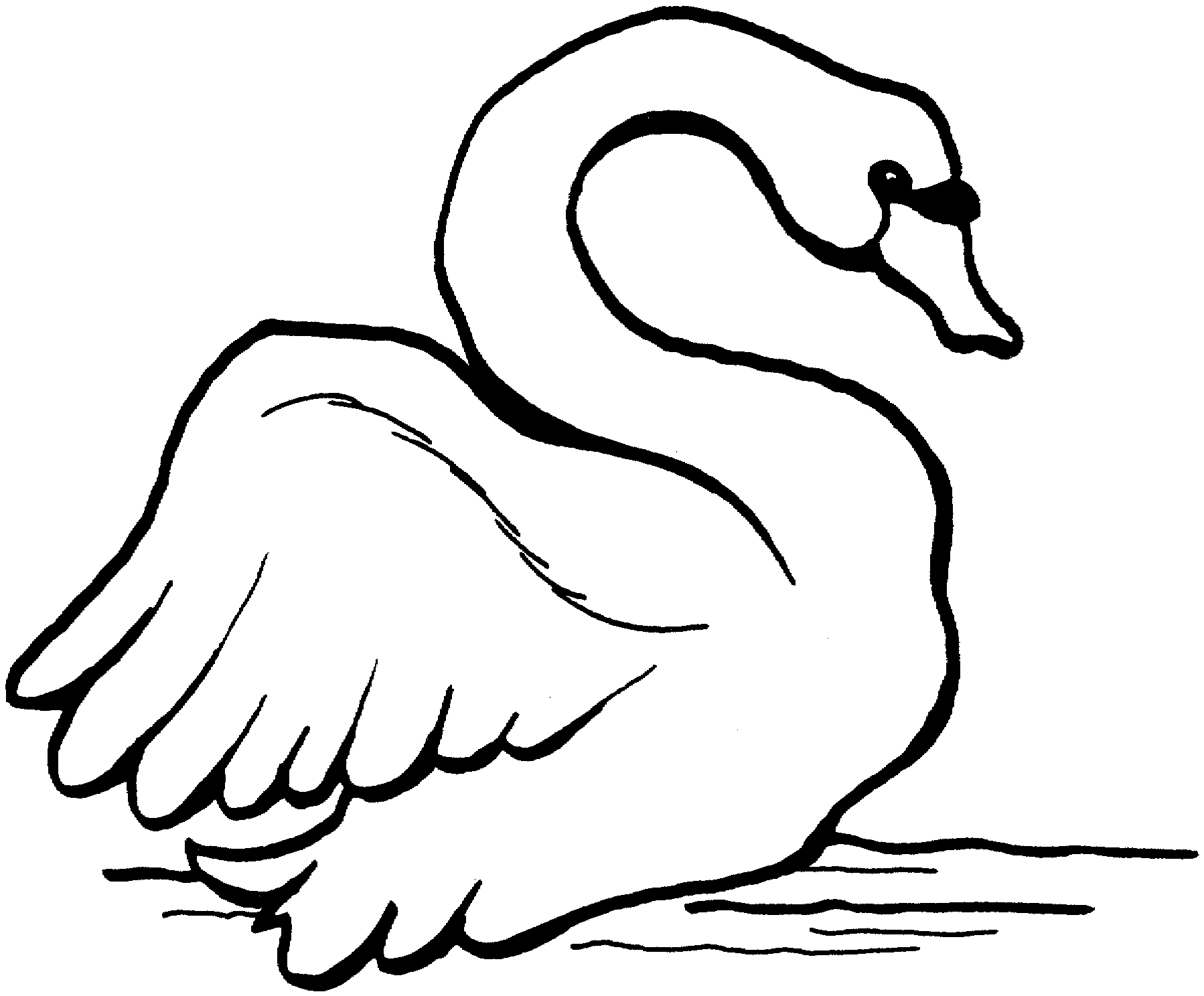 swan coloring free printable swans coloring page the graphics fairy swan coloring 