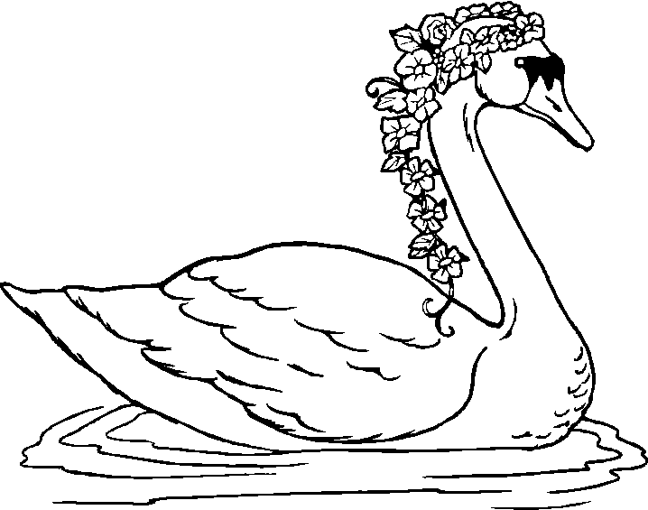 swan coloring free swan coloring pages coloring swan 
