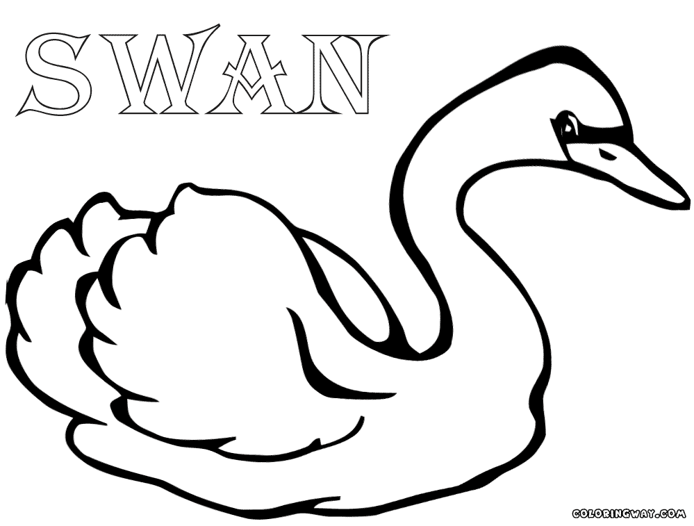 swan coloring swan coloring pages to download and print for free coloring swan 