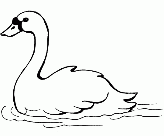 swan coloring swan coloring pages to download and print for free swan coloring 
