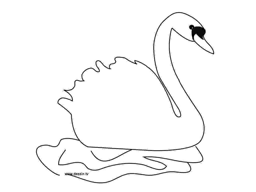 swan coloring swan coloring pages to download and print for free swan coloring 