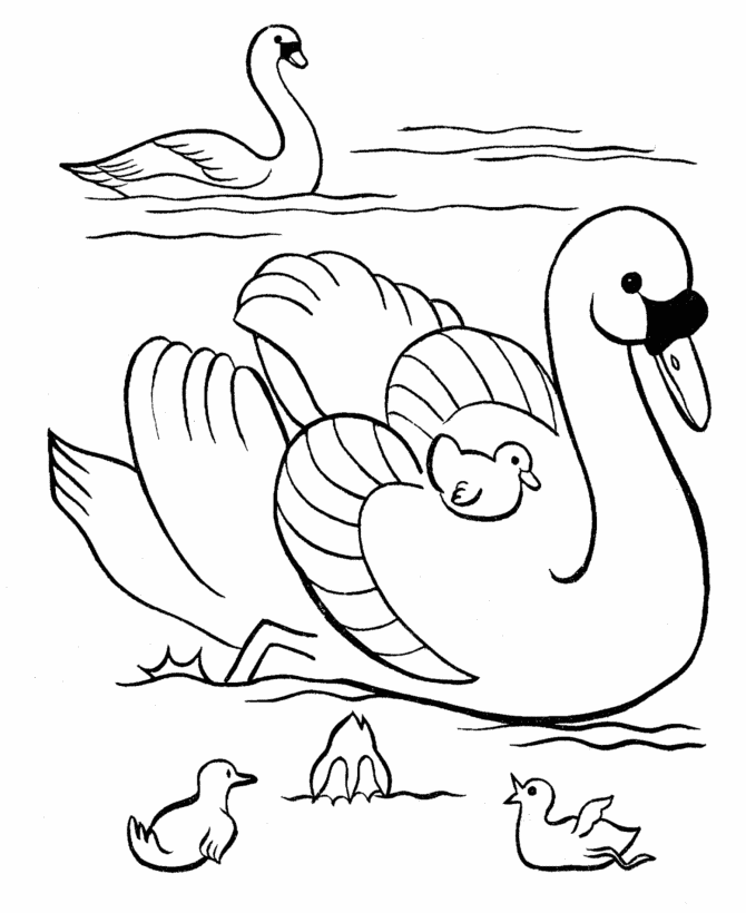 swan coloring swan coloring pages to download and print for free swan coloring 1 1