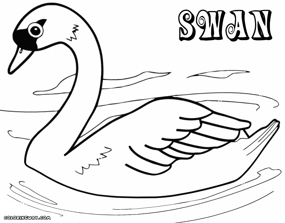 swan coloring swan free printable coloring pages coloring swan 