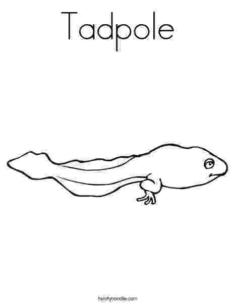 tadpole coloring page cute colorable tadpole free clip art page tadpole coloring 