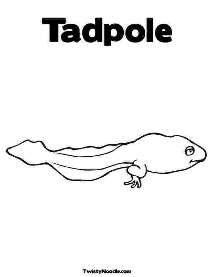 tadpole coloring page cute colorable tadpole free clip art tadpole page coloring 