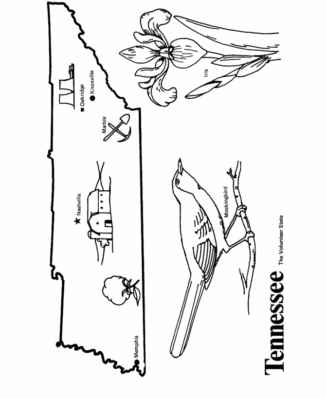 tennessee state flag coloring page quothistoricalquot tennessee state outline shape drawing and page coloring flag tennessee state 