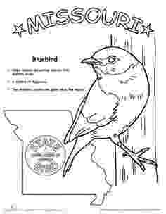 texas state bird texas state bird fun stuff pinterest worksheets texas bird state 