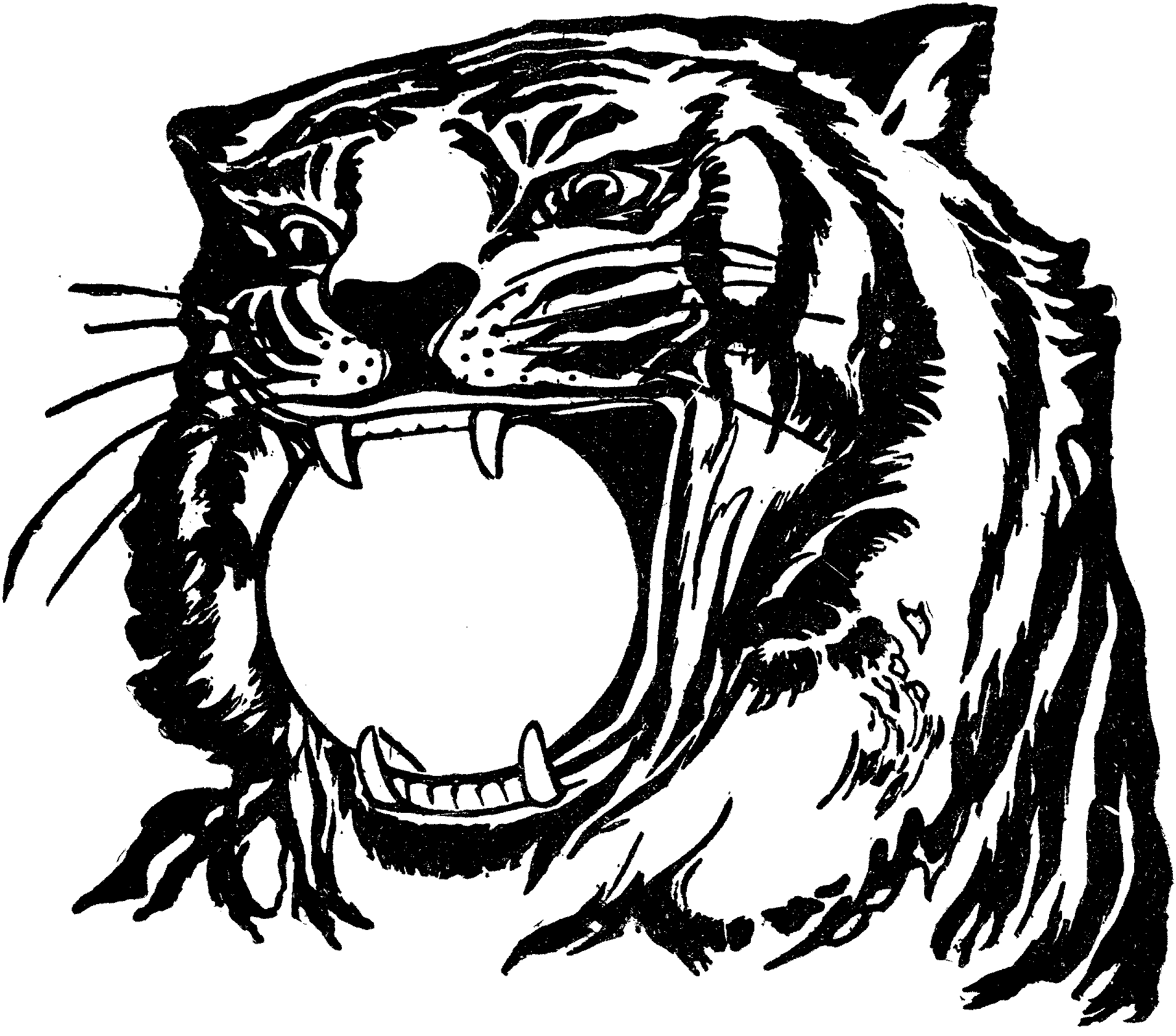 tiger color free printable tiger coloring pages for kids tiger color 1 2