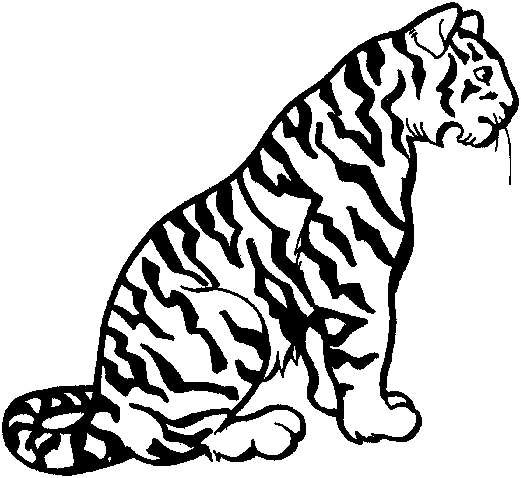 tiger color free tiger coloring pages color tiger 1 1