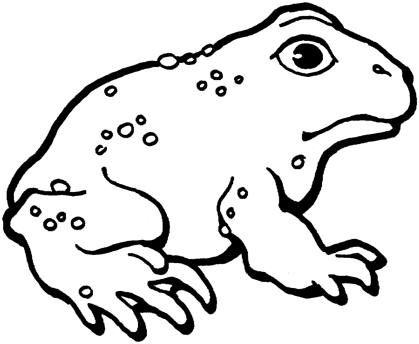 toad coloring pages free printable toad coloring pages for kids toad pages coloring 