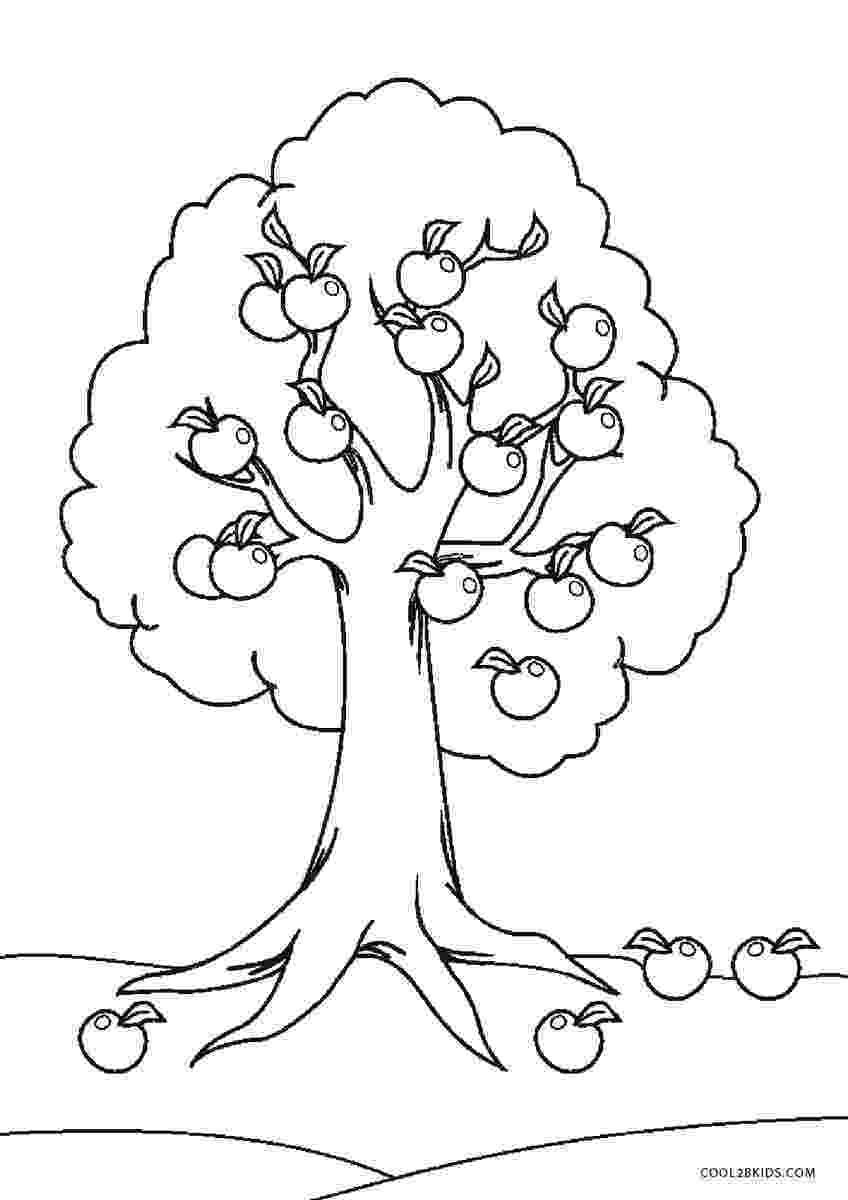 tree images for colouring best tree clipart black and white 18975 clipartioncom for images colouring tree 
