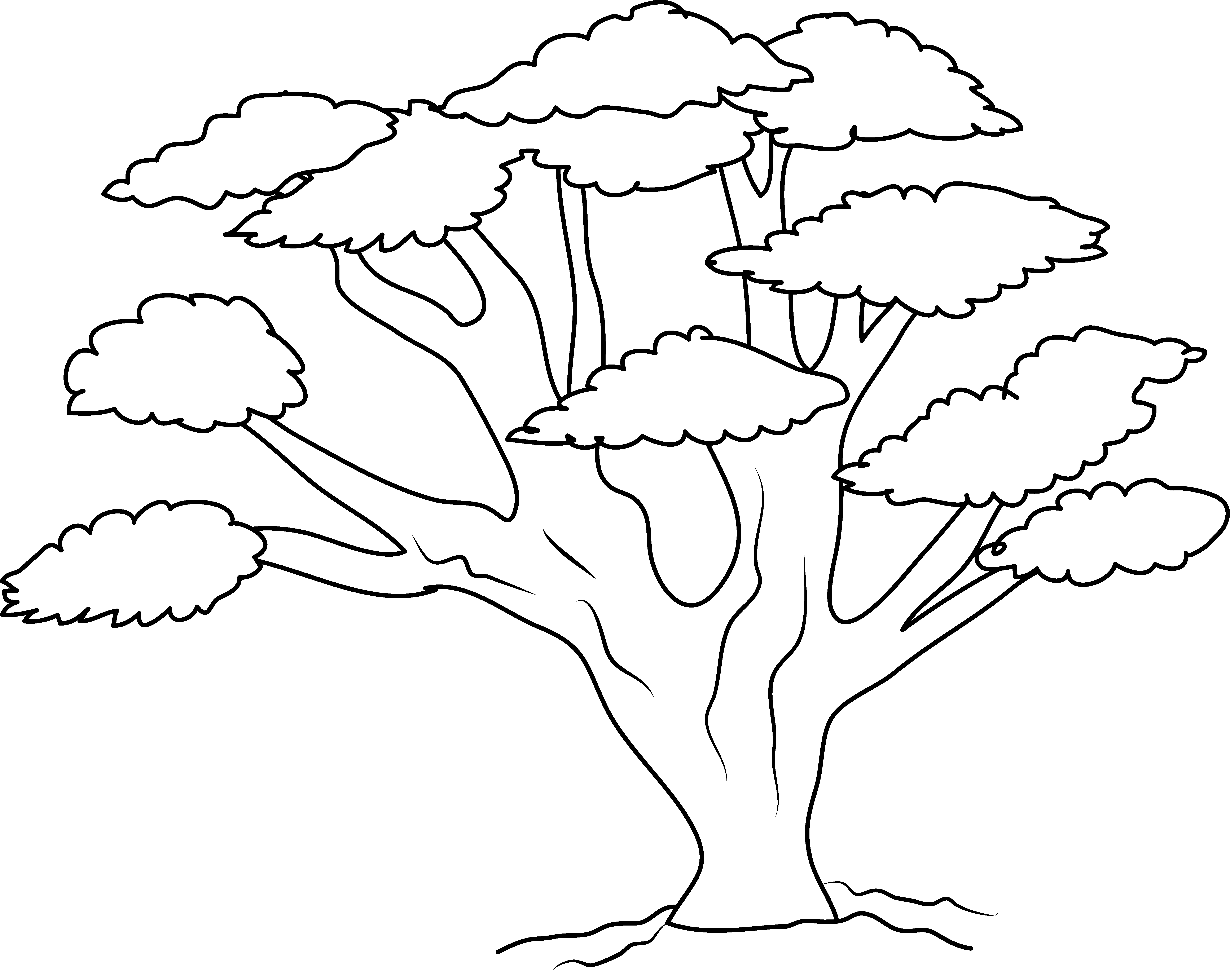 tree images for colouring christmas tree coloring page free printable coloring pages colouring tree images for 