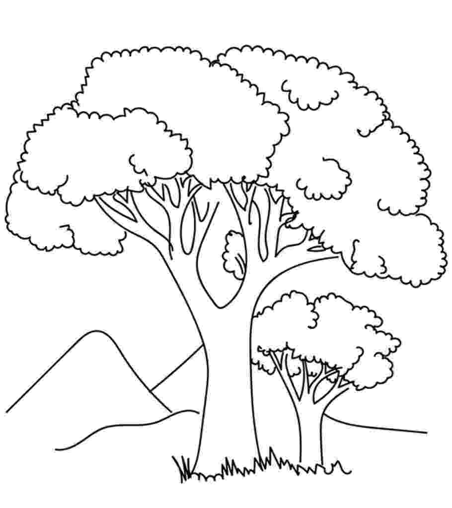 tree images for colouring free printable tree coloring pages for kids colouring for tree images 