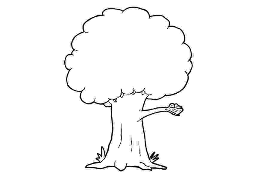 tree images for colouring free printable tree coloring pages for kids cool2bkids images for colouring tree 