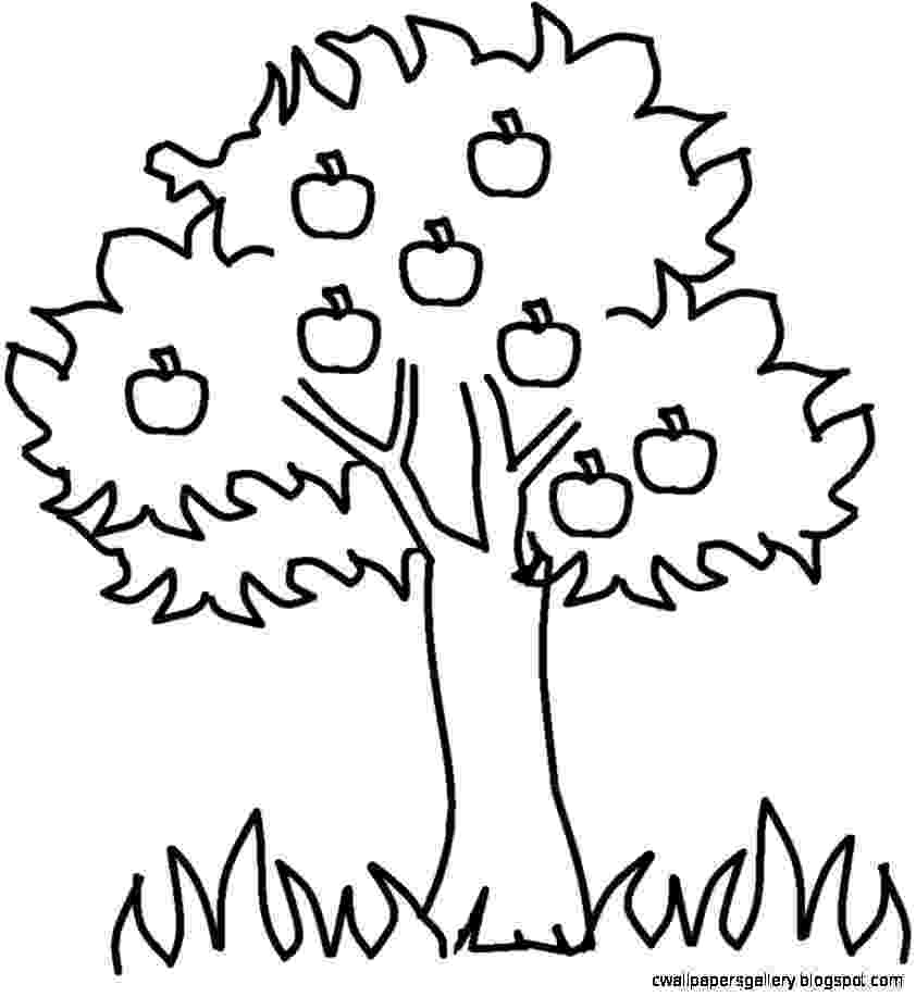 tree images for colouring free printable tree coloring pages for kids cool2bkids tree colouring for images 