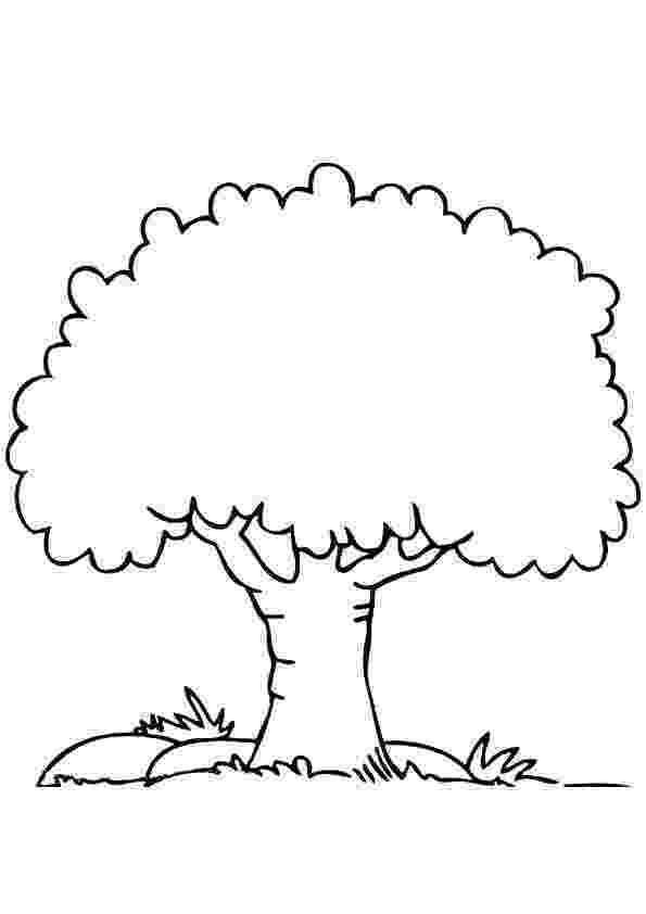 tree images for colouring free printable tree coloring pages for kids images colouring tree for 