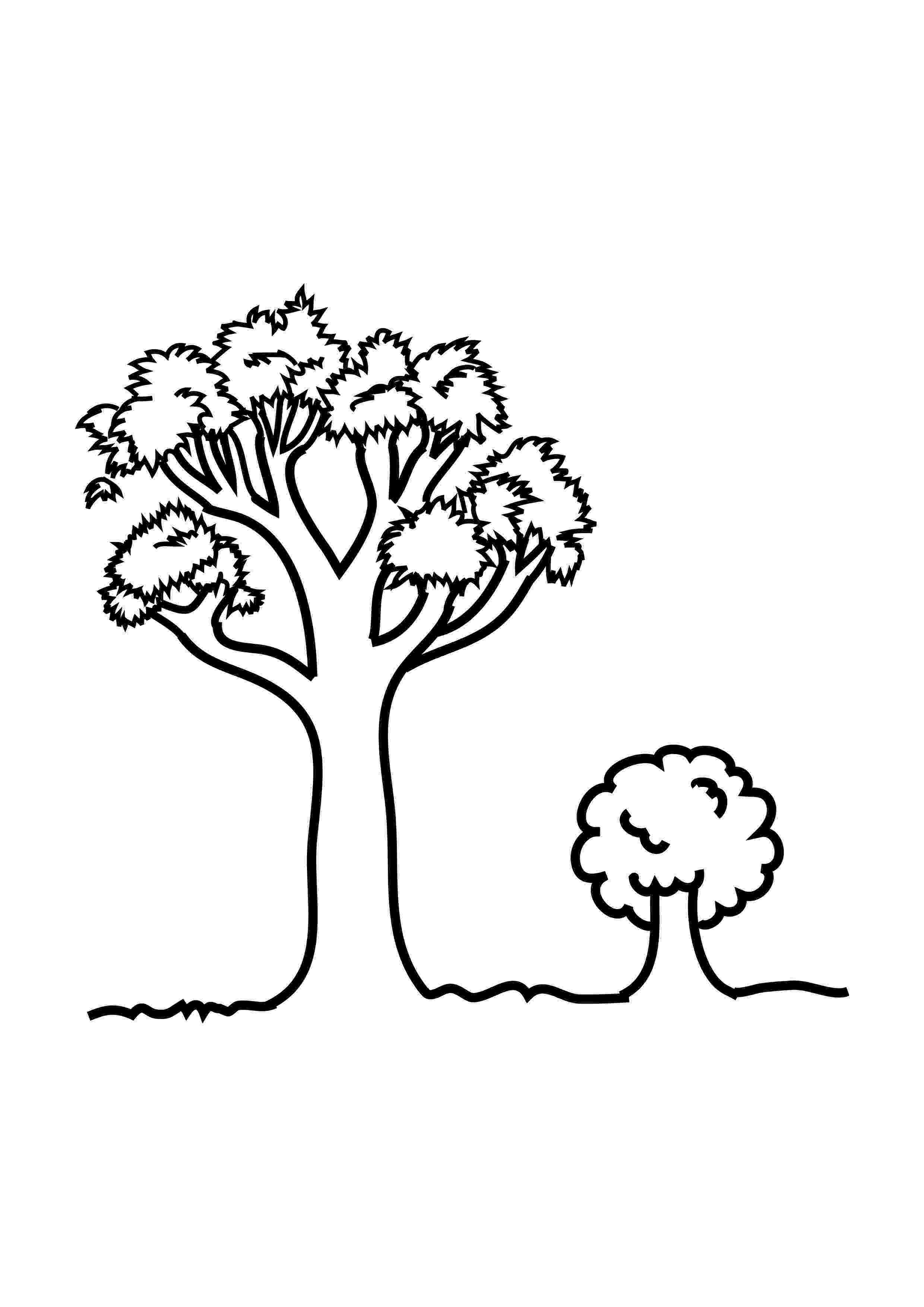 tree images for colouring free printable tree coloring pages for kids tree for images colouring 