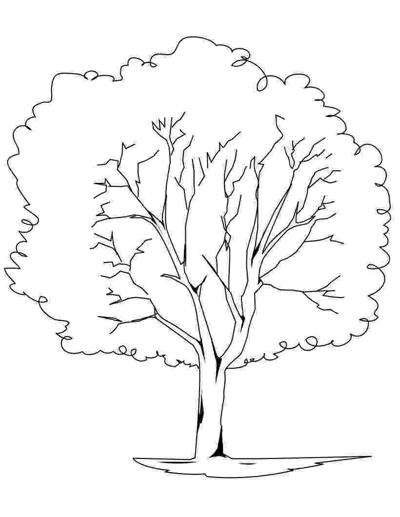 tree images for colouring free printable tree coloring pages for kids tree images colouring for 