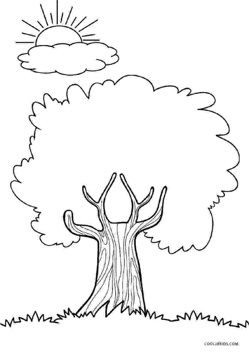 tree images for colouring tree clipart black and white png for colouring tree images 