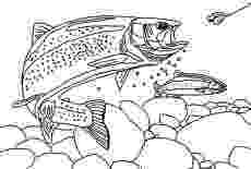 trout coloring page apache trout is strong fish coloring pages apache trout coloring page trout 