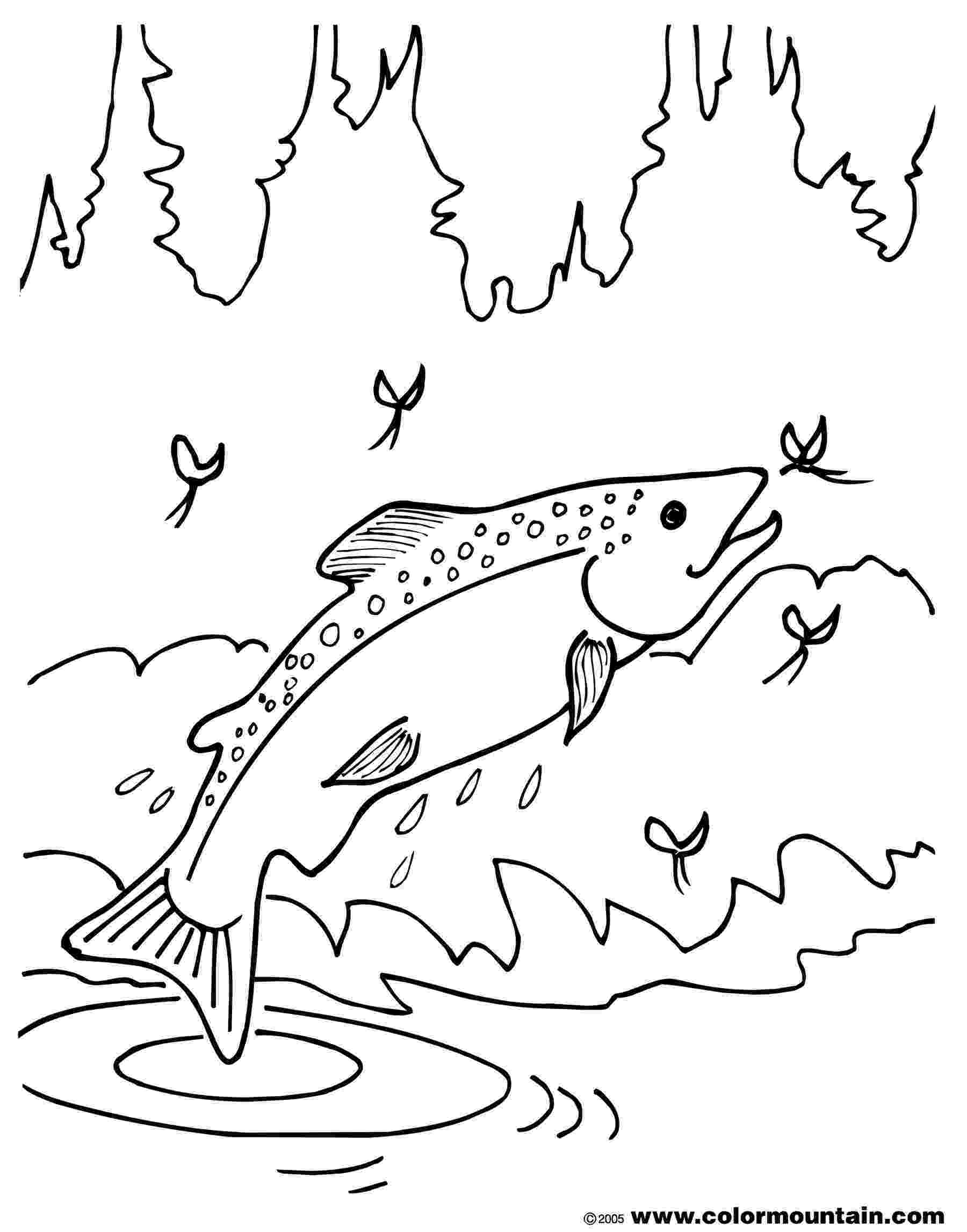 trout coloring page list of all flowers name beginning with ofrom a list of trout coloring page 