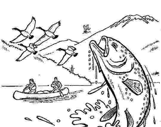 trout coloring page rainbow trout picture to color 4 rainbow trout coloring page coloring trout 