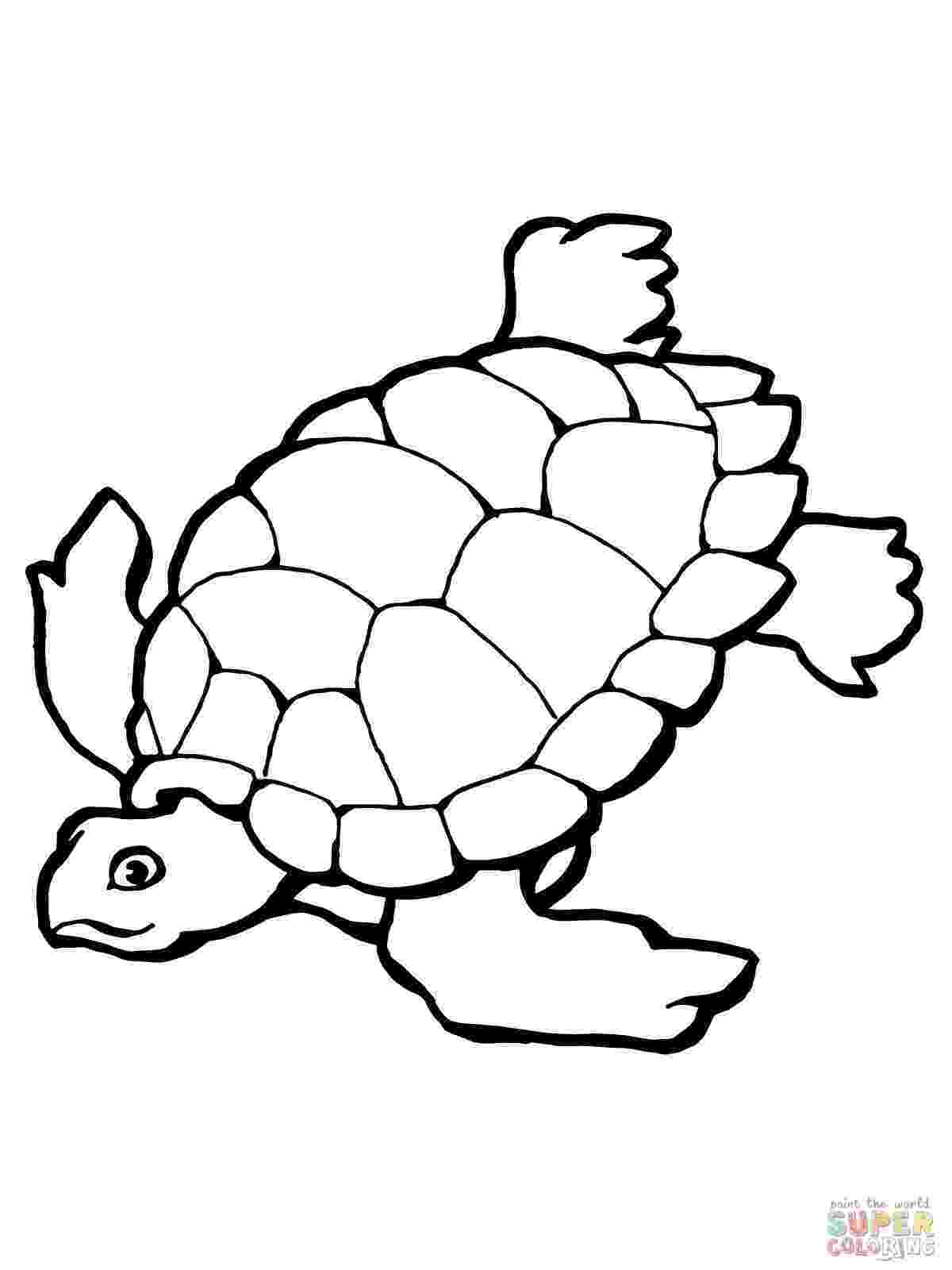 turtle pictures to color coloring page cute cartoon hatchling of sea turtle stock turtle pictures color to 