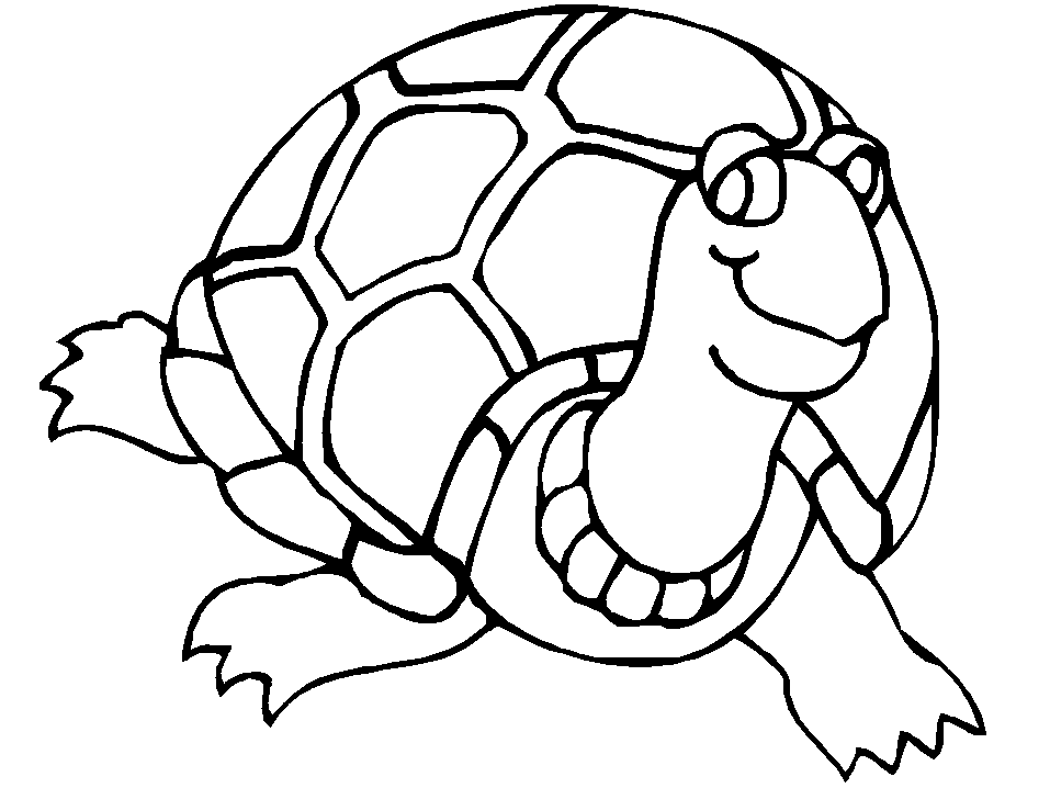 turtle pictures to color free printable turtle coloring pages for kids pictures color to turtle 