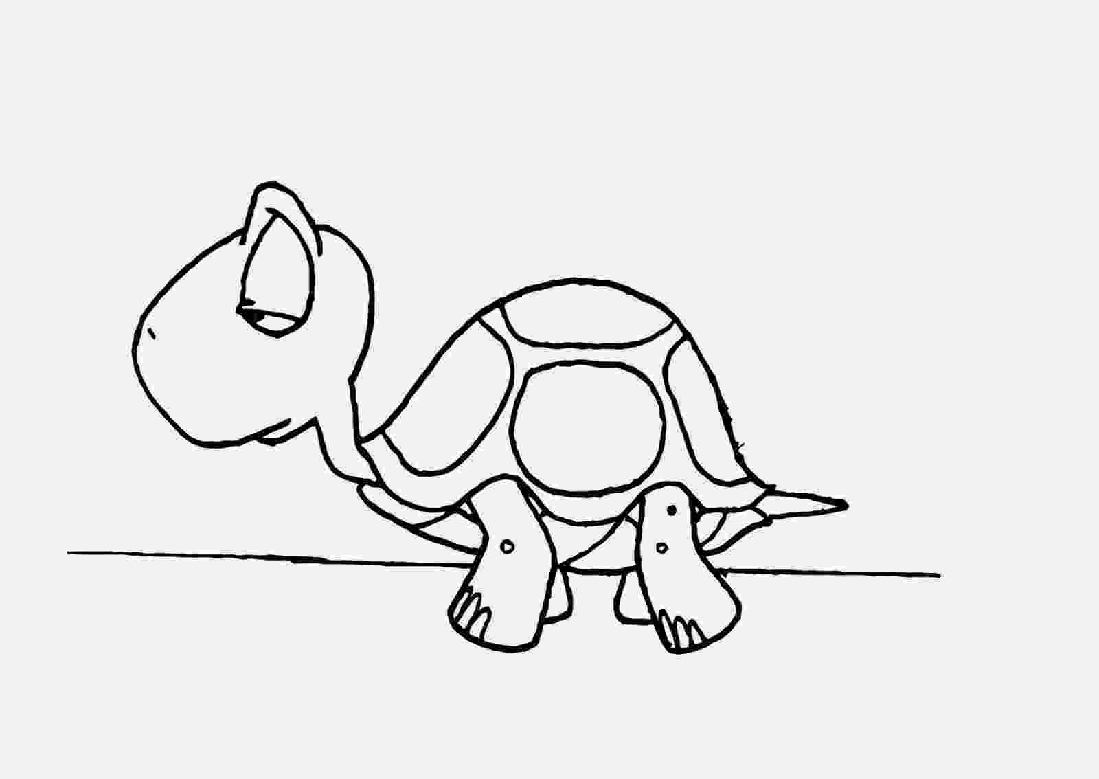 turtle pictures to color turtles coloring pages download and print turtles turtle pictures color to 
