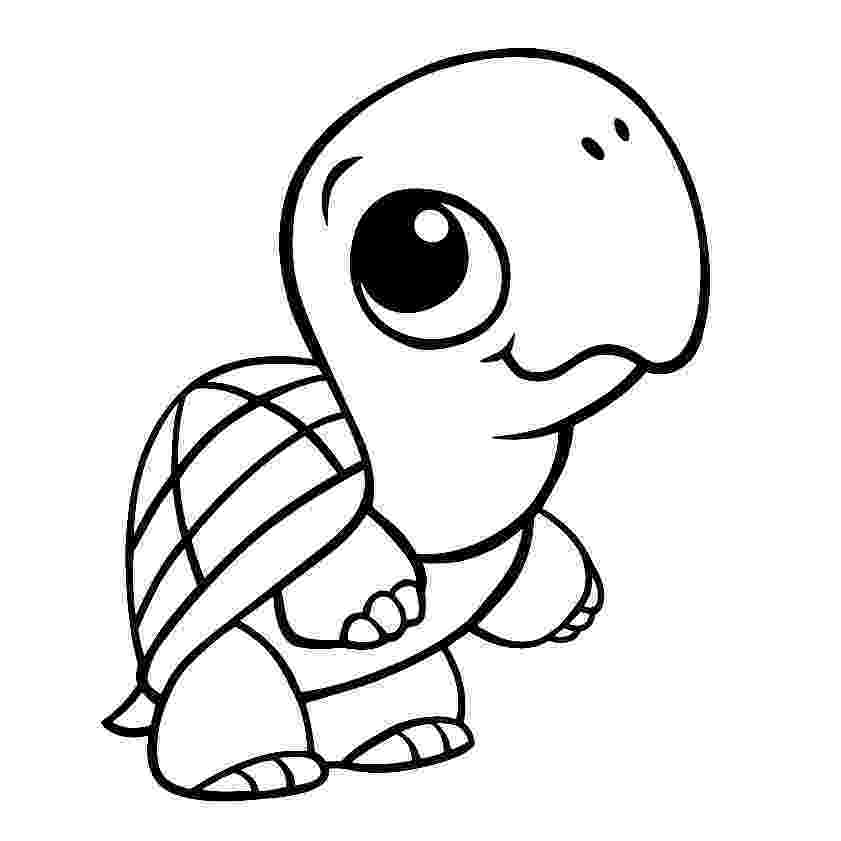turtle pictures to color turtles to print for free turtles kids coloring pages pictures color to turtle 