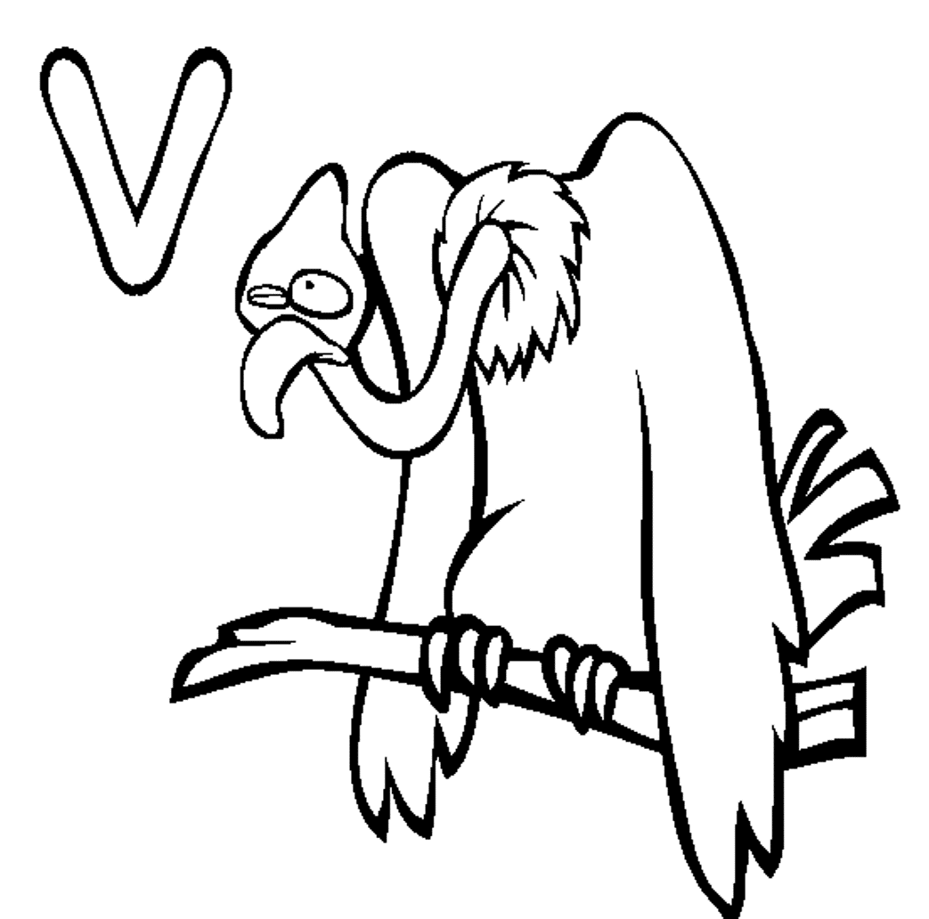 vulture coloring pages vulture coloring pages download and print vulture vulture pages coloring 