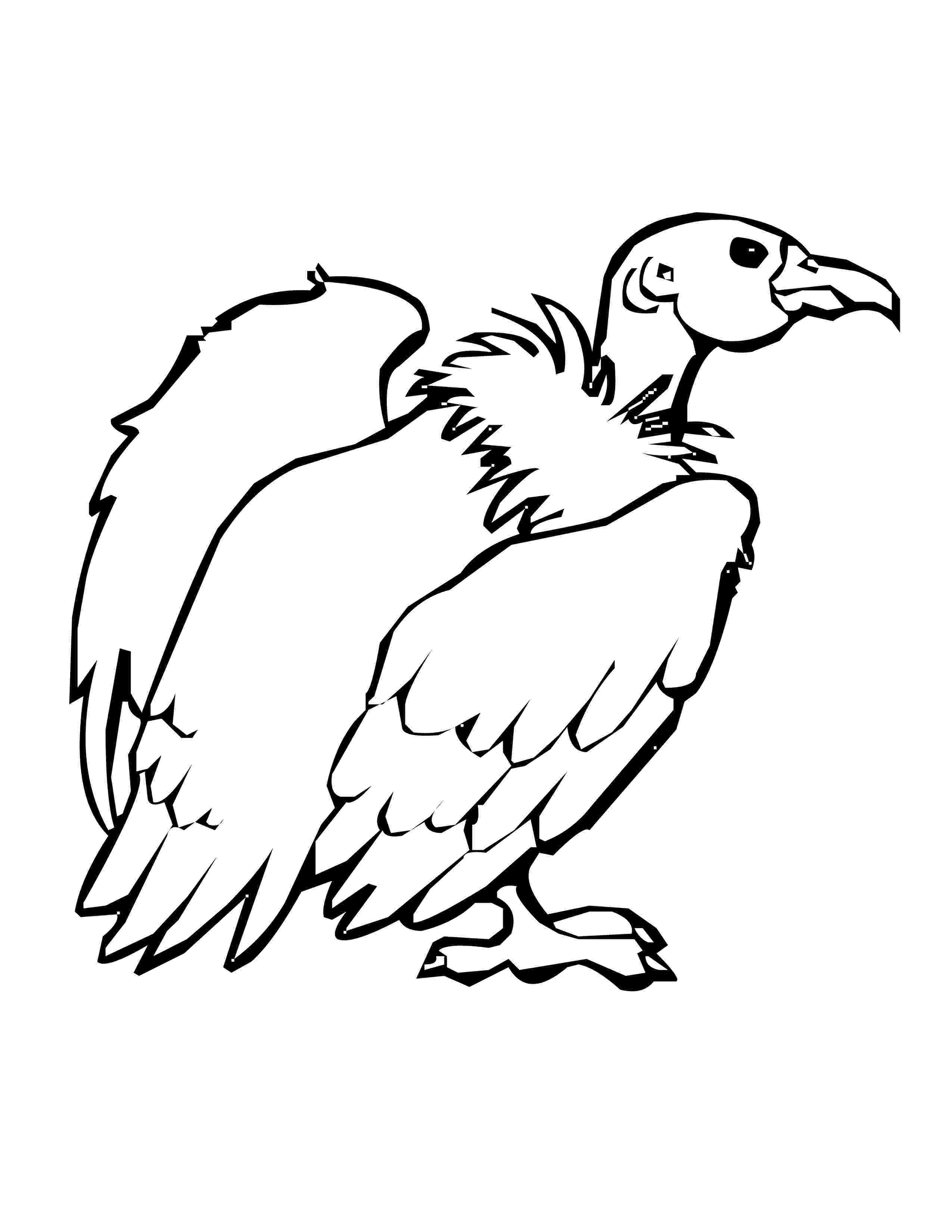vulture coloring pages vulture coloring pages preschool and kindergarten coloring vulture pages 