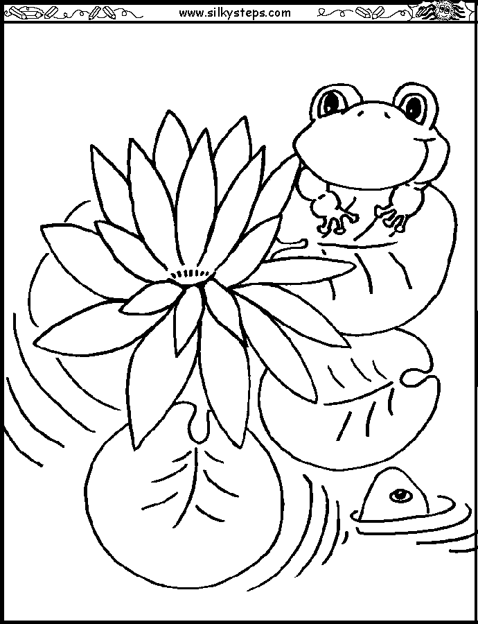 water lily coloring page water lilies coloring page free printable coloring pages water coloring page lily 