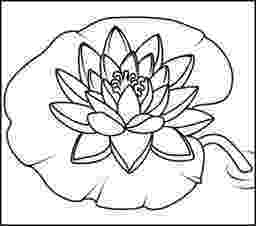water lily coloring page water lily online coloring page coloring pages water page coloring lily 