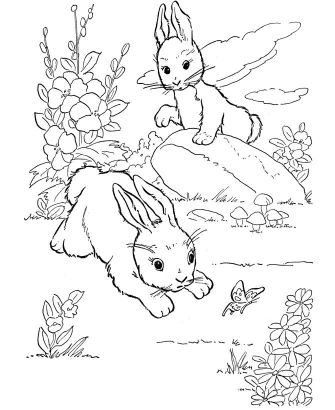 winter animals coloring pages winter coloring pages cool winter coloring pages coloring pages winter animals 