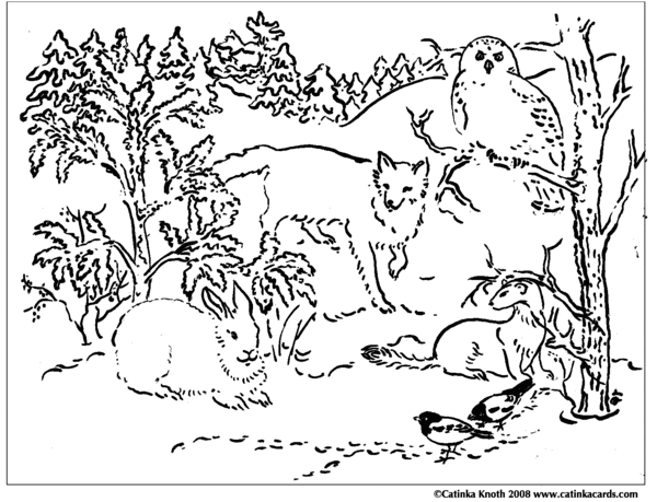 winter animals coloring pages winter colouring pages for kids winter pages animals coloring 