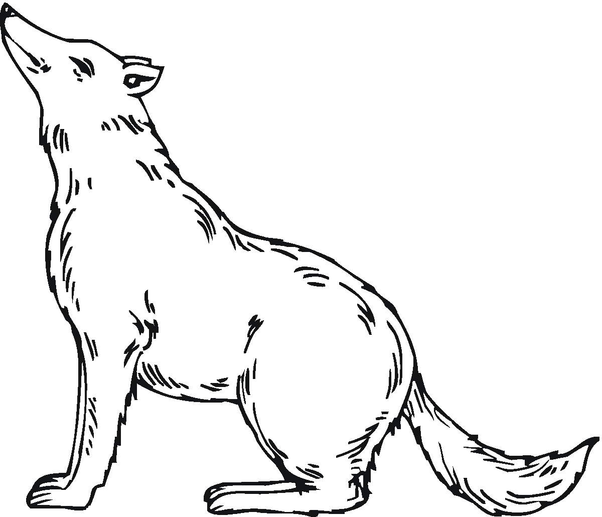 wolf coloring pictures free printable wolf coloring pages for kids coloring pictures wolf 1 2