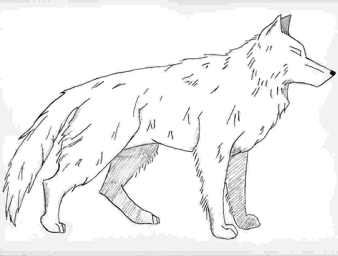 wolf coloring pictures free printable wolf coloring pages for kids wolf coloring pictures 