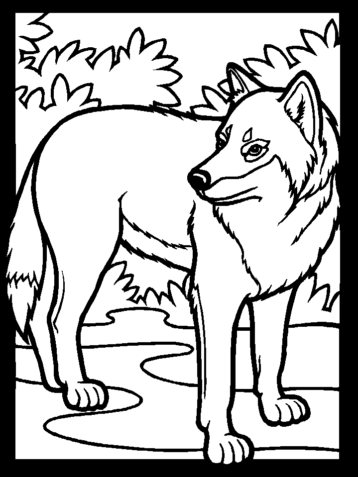 wolf coloring pictures wolf coloring pages pictures wolf coloring 