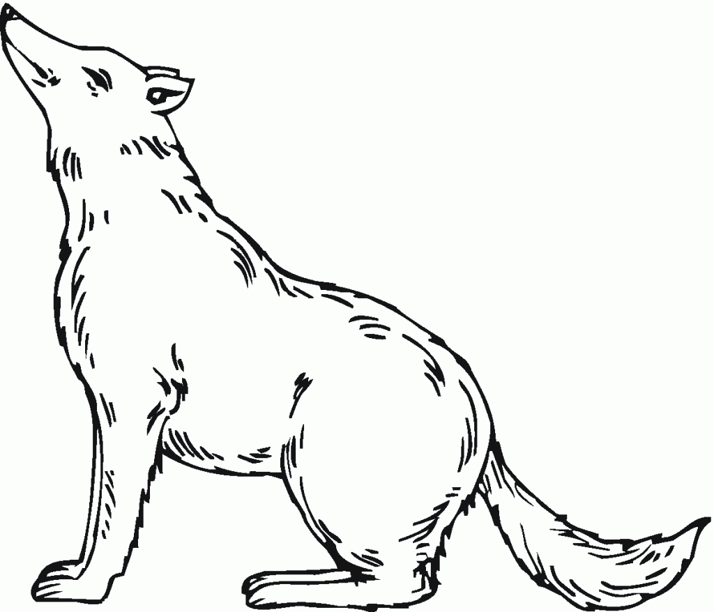 wolf pictures to color and print free printable wolf coloring pages for kids print to and color wolf pictures 