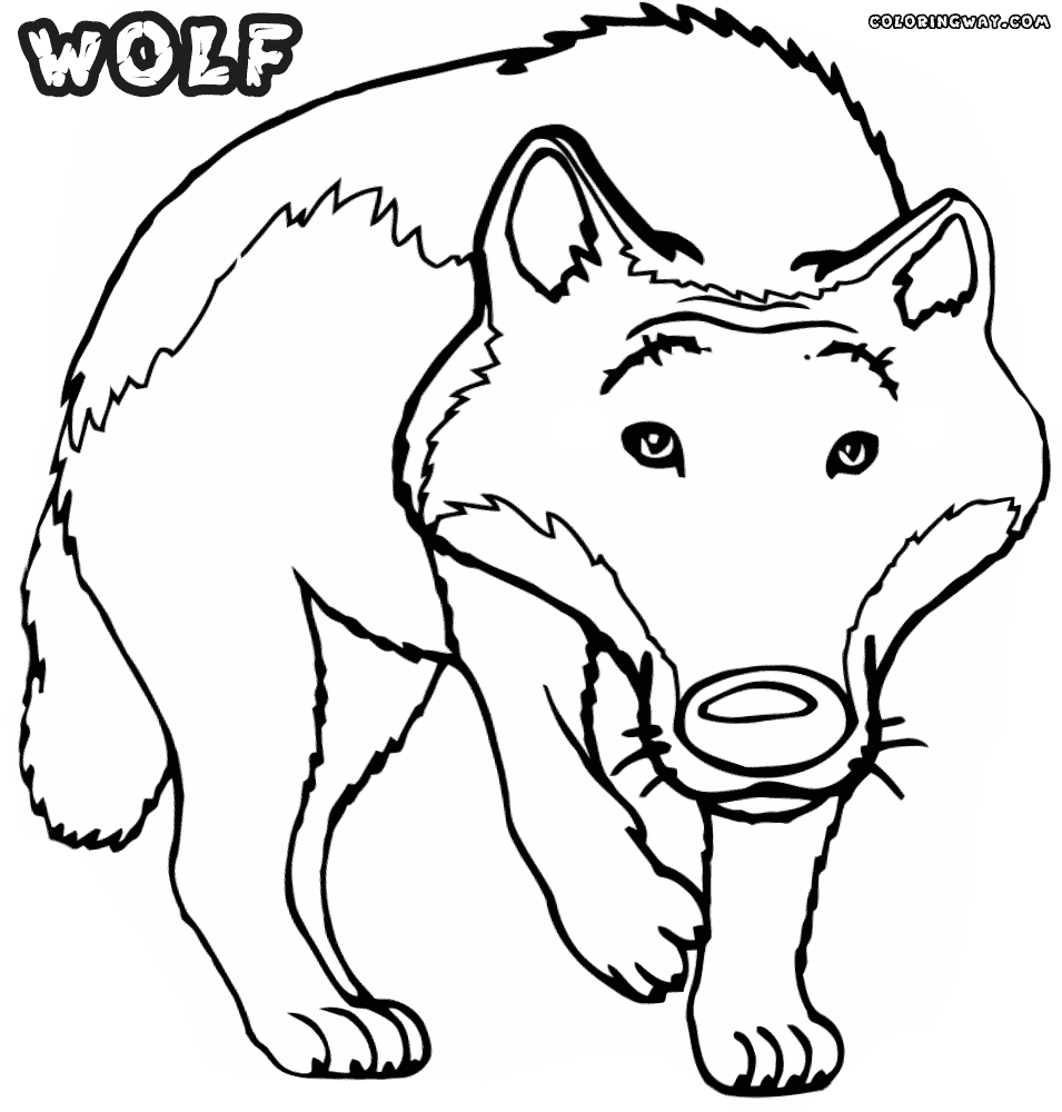wolf pictures to color and print wolf coloring pages coloring pages to download and print print color pictures to and wolf 