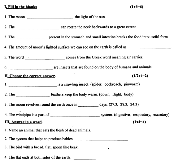 worksheet for class 1 evs kv evs worksheet lesson 5 class for 1 evs worksheet kv 